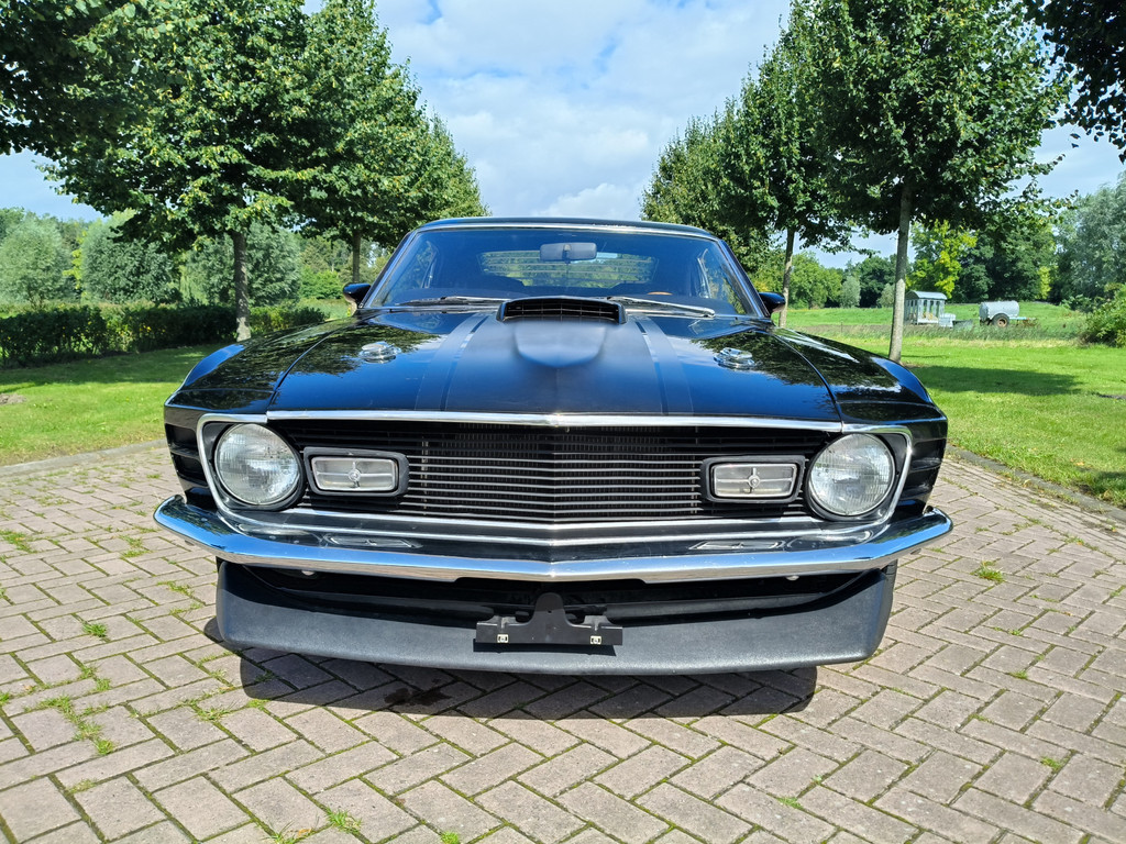 46579116-5.jpg