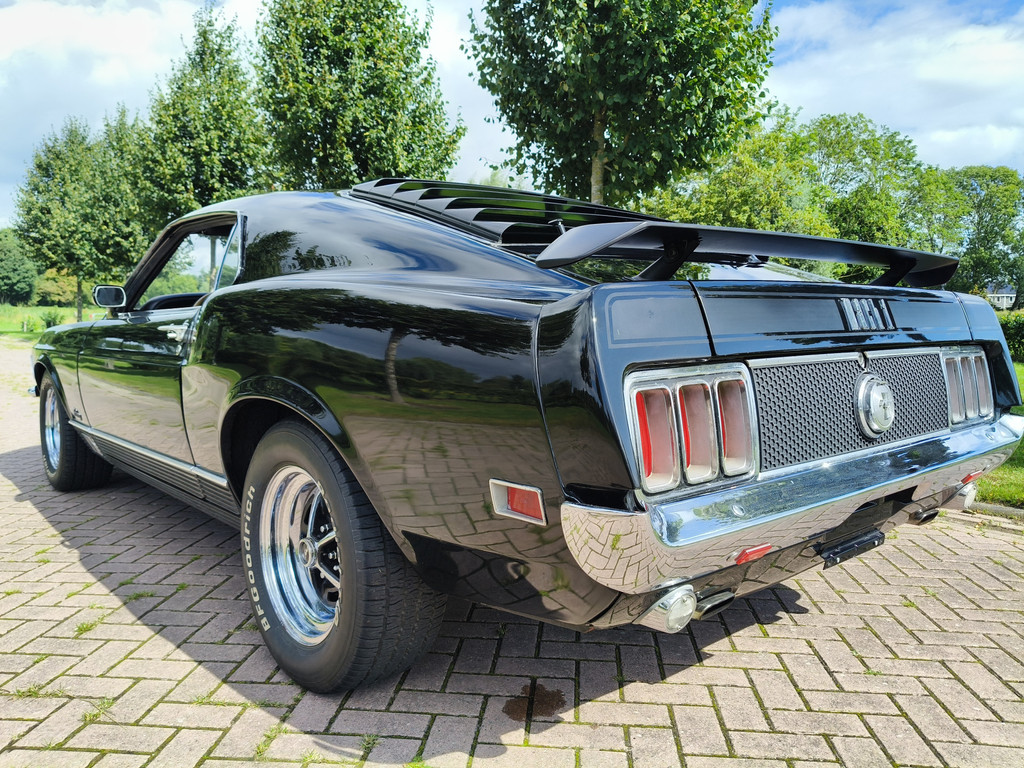 46579116-53.jpg
