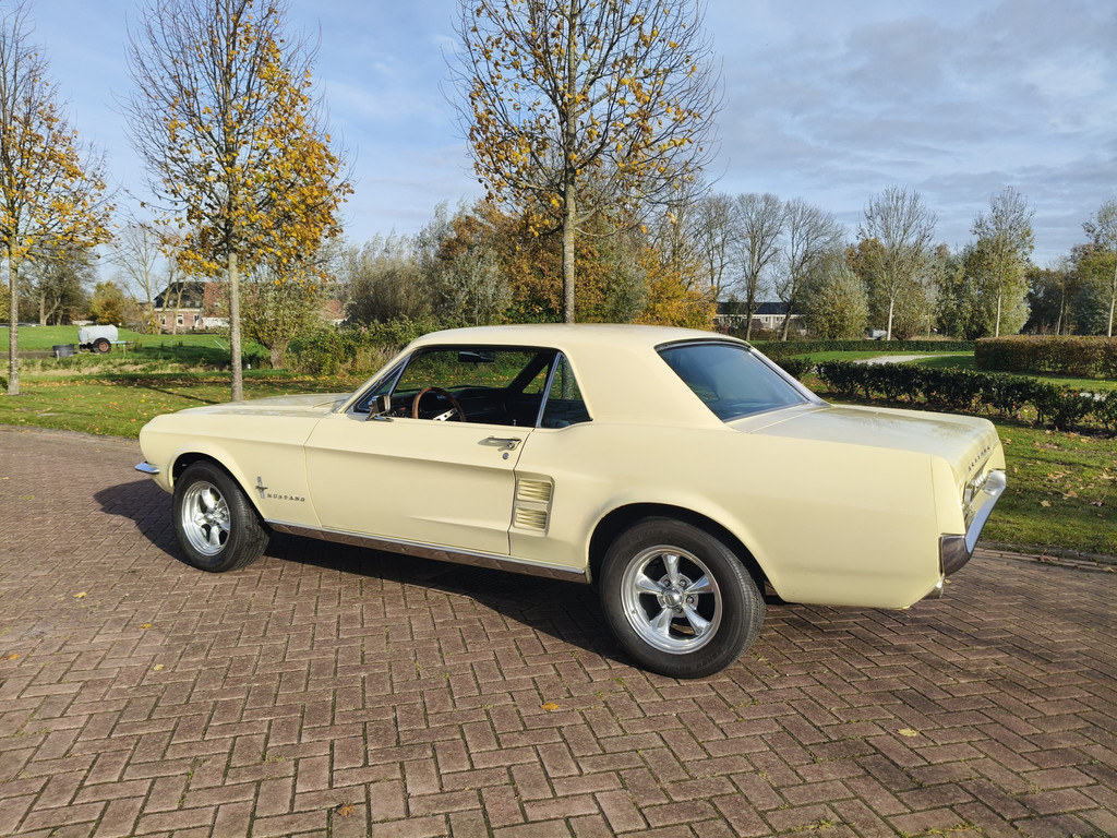 48822189-3.jpg