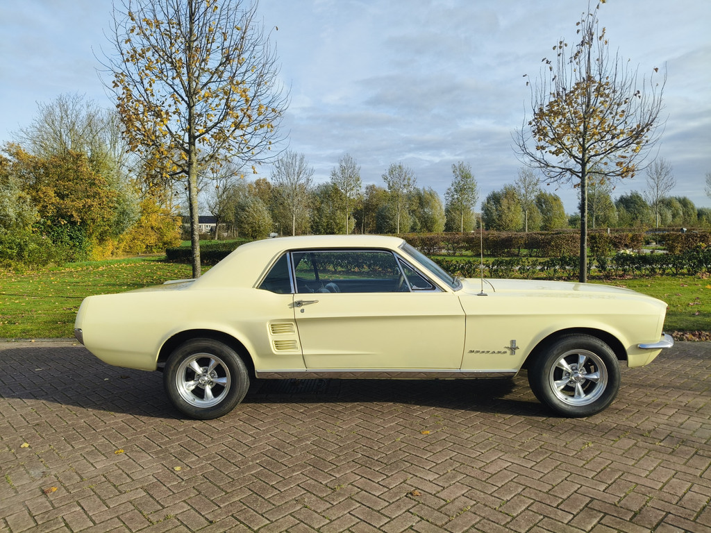 48822189-5.jpg
