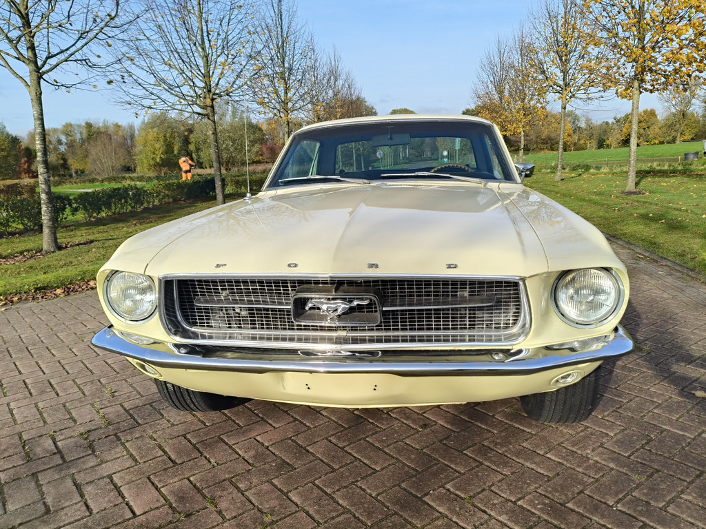 48822189-6.jpg