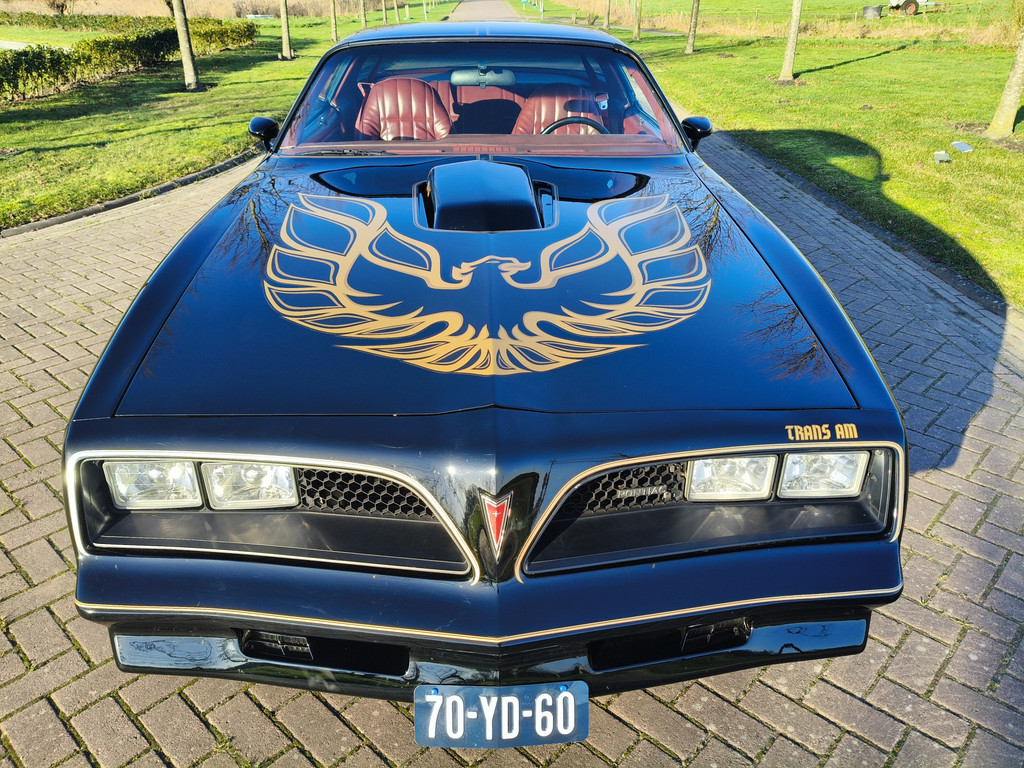 50196161-13.jpg