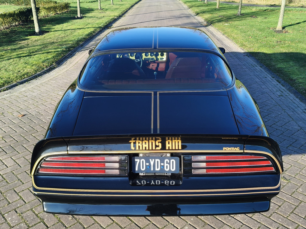 50196161-4.jpg