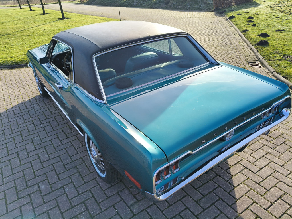 50287805-3.jpg