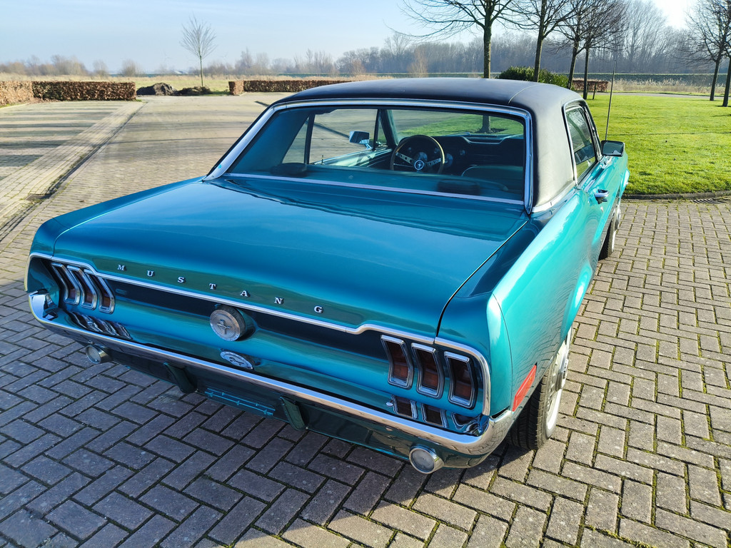 50287805-7.jpg