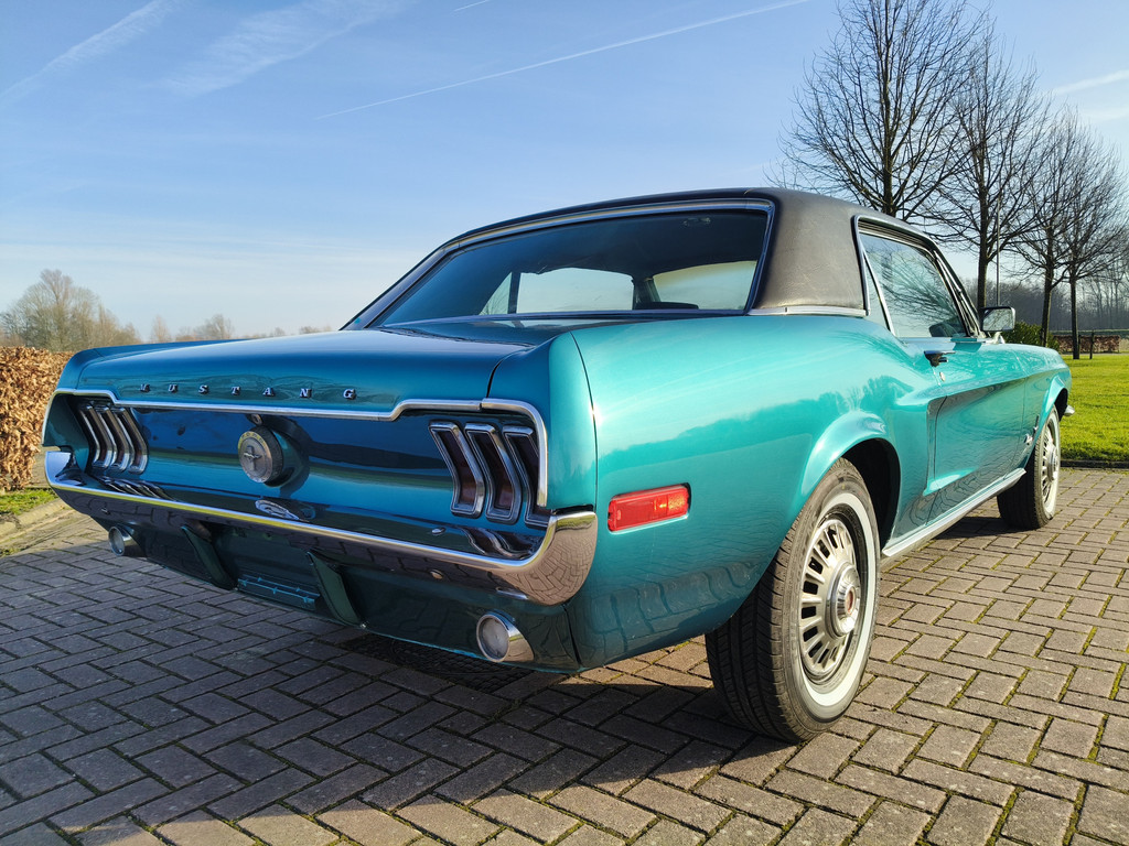 50287805-8.jpg