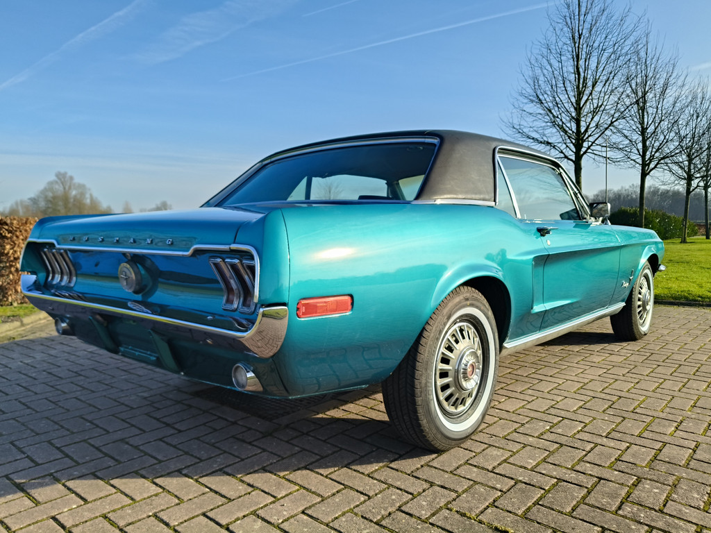 50287805-9.jpg