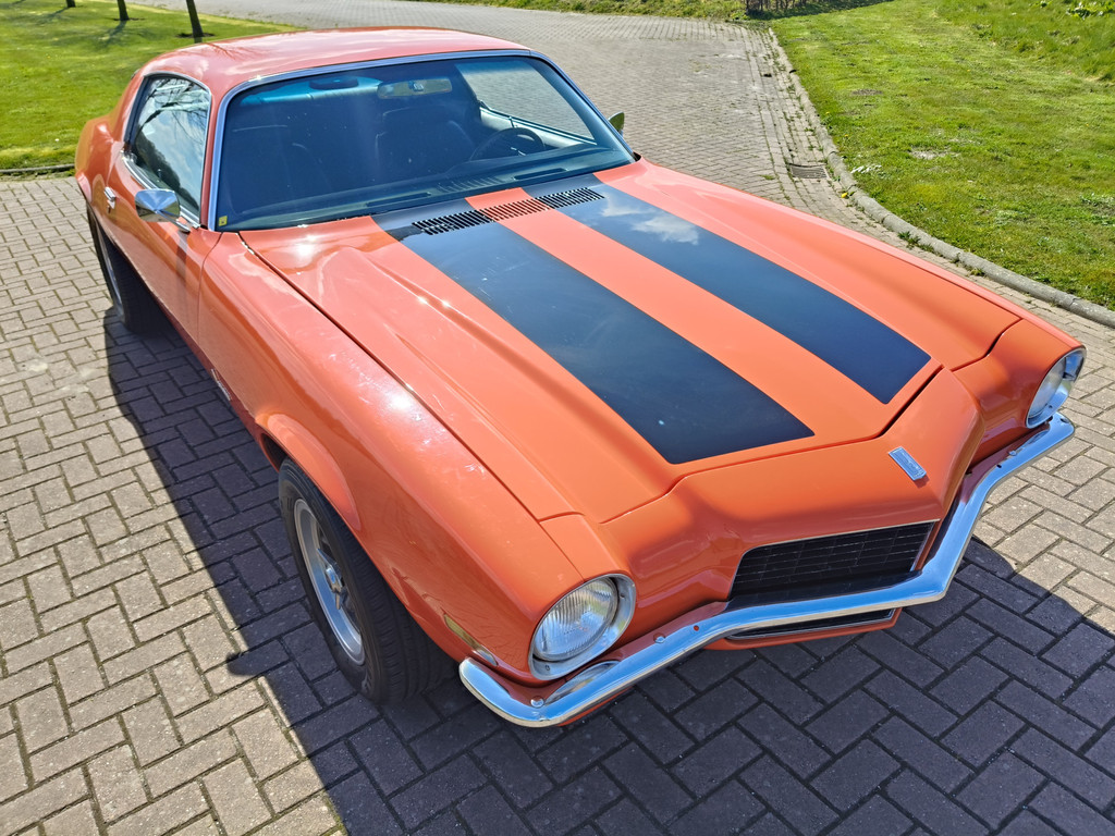 52408721-17.jpg