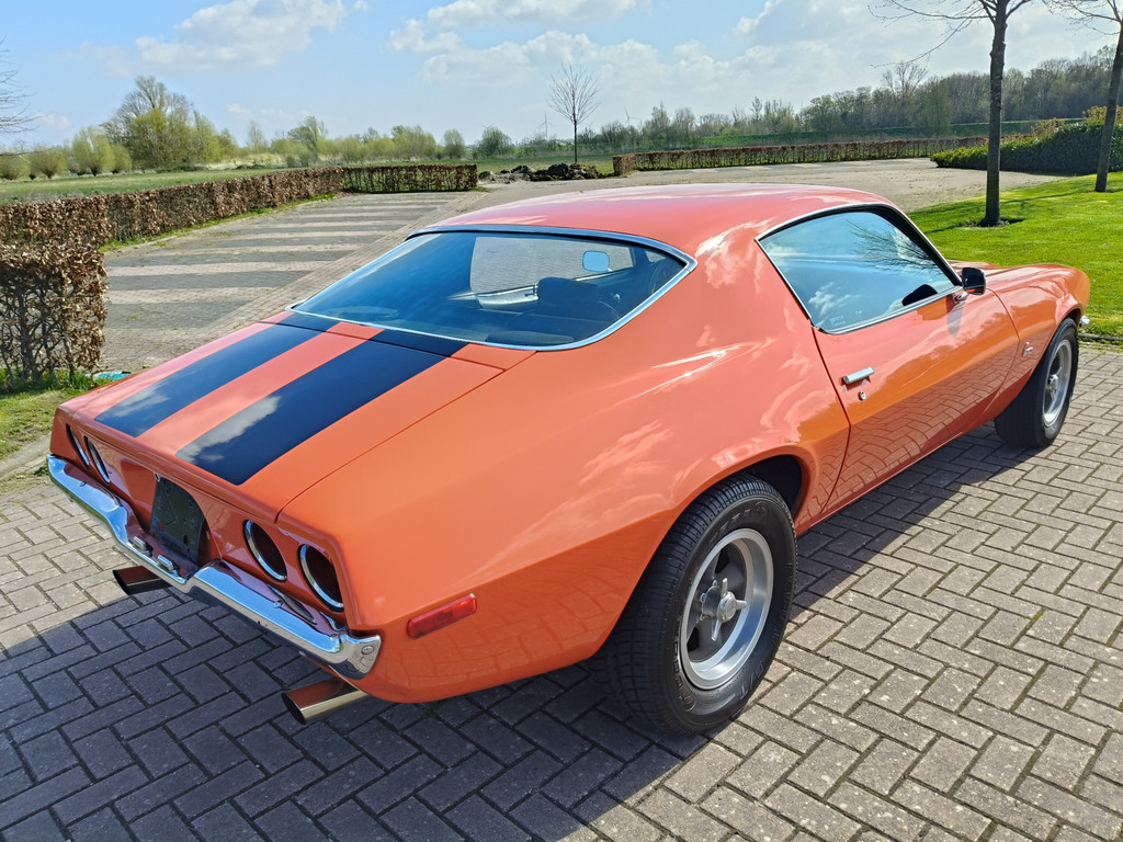 52408721-5.jpg