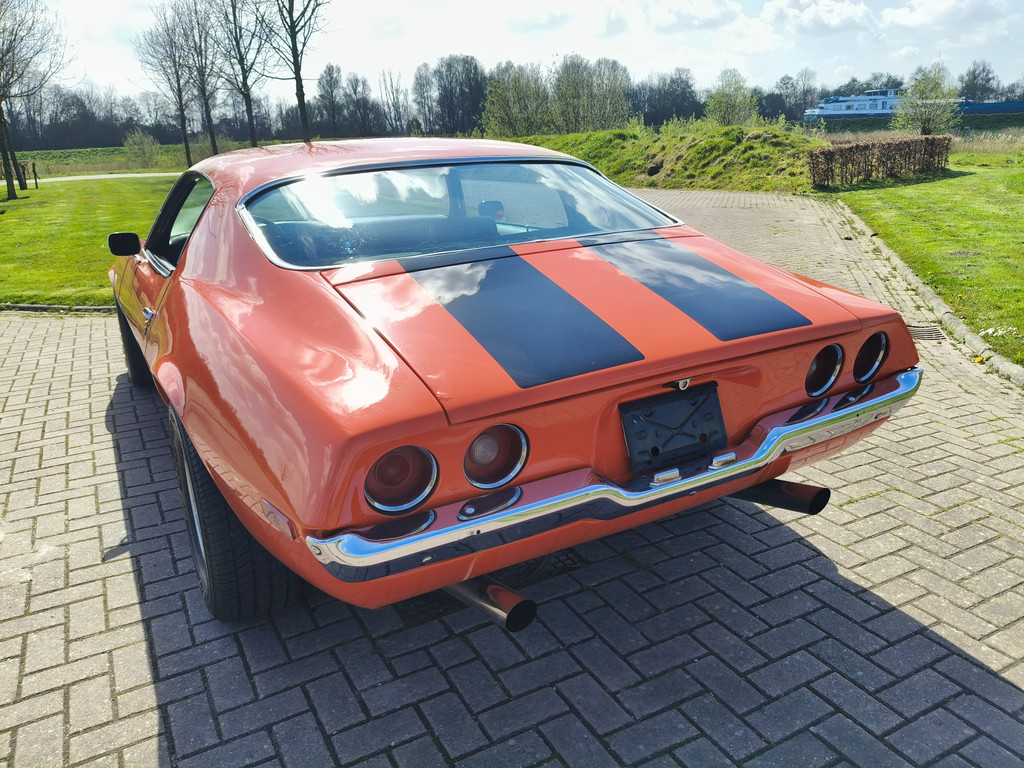 52408721-7.jpg