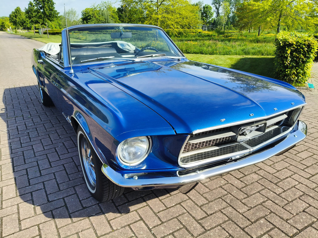 52445666-0.jpg