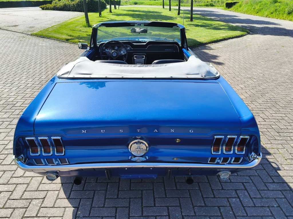 52445666-8.jpg