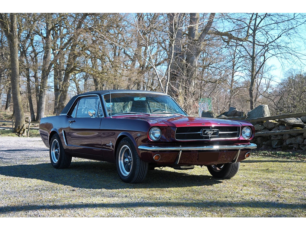 53307564