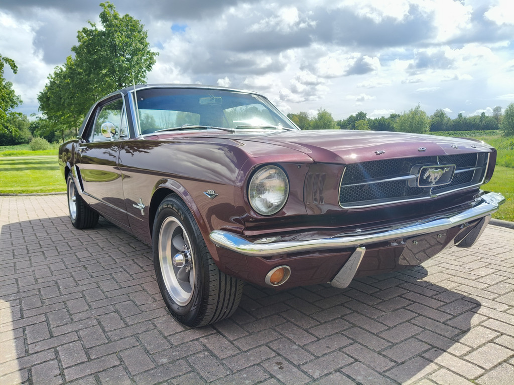 53307564-37.jpg