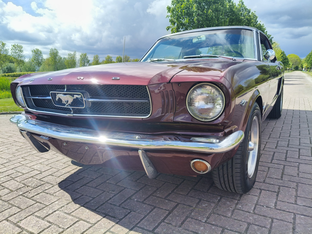 53307564-4.jpg