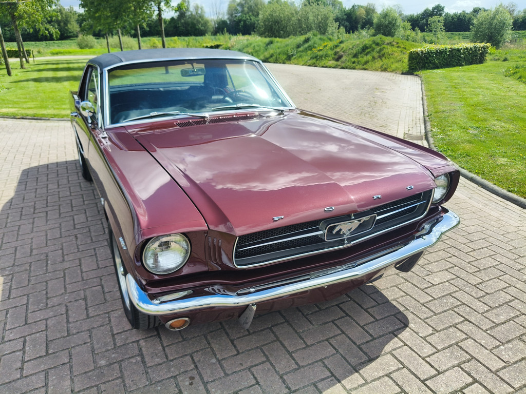 53307564-6.jpg