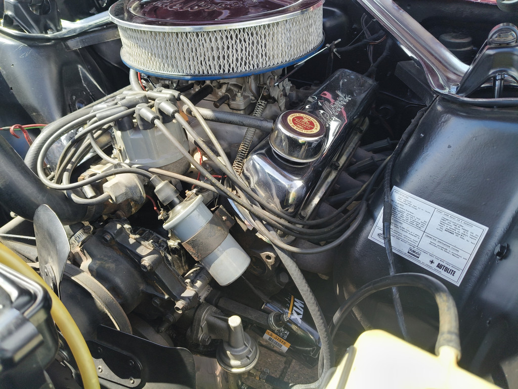 53307564-72.jpg