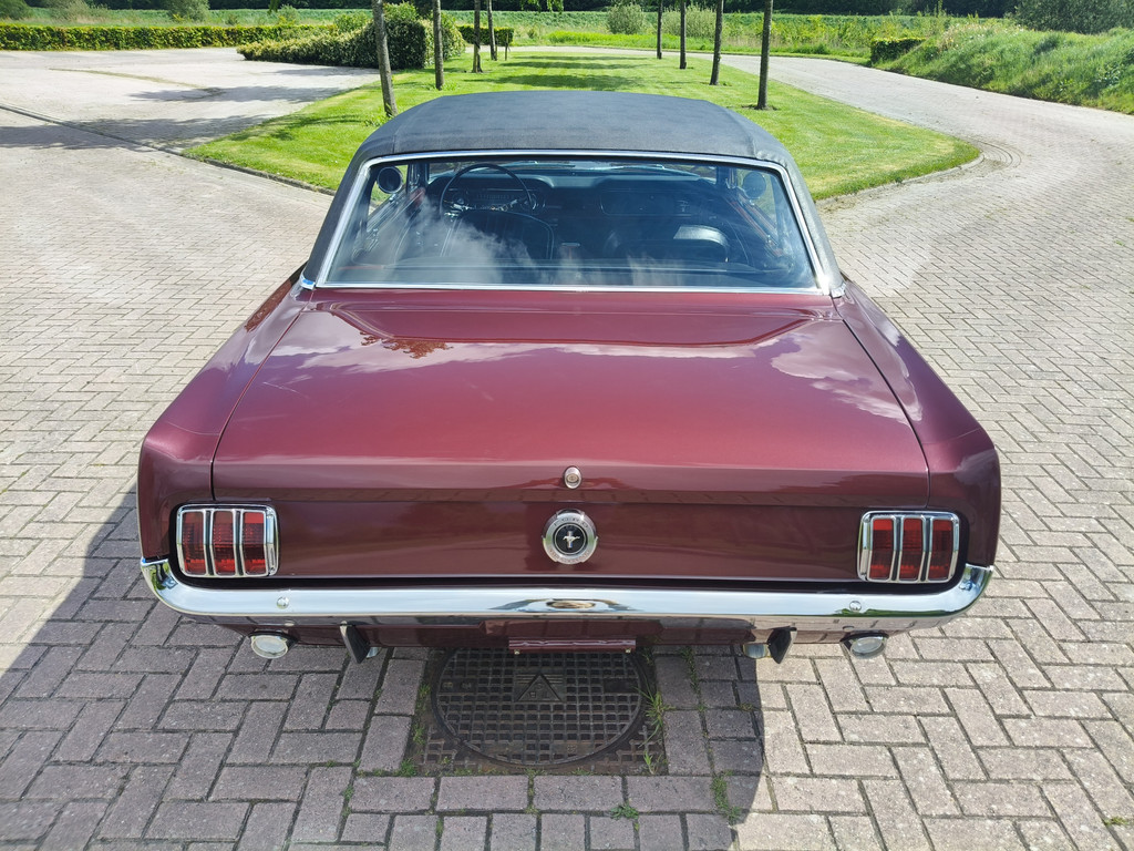 53307564-8.jpg