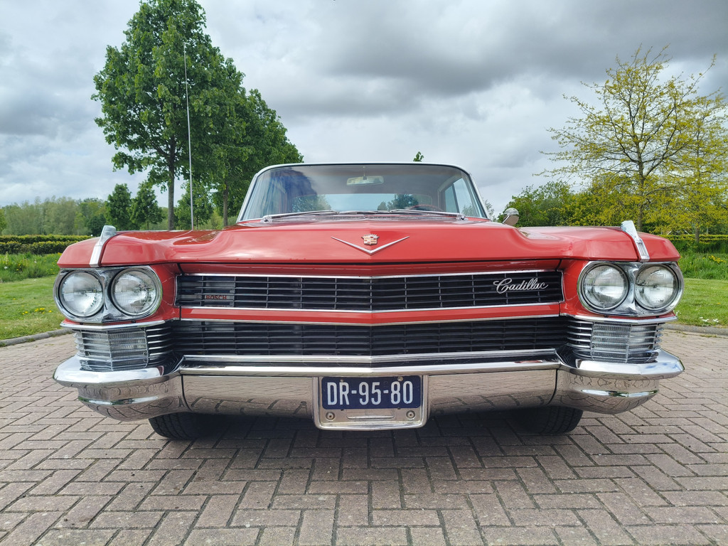 53394679-23.jpg