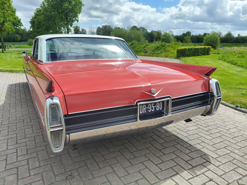 53394679-4.jpg