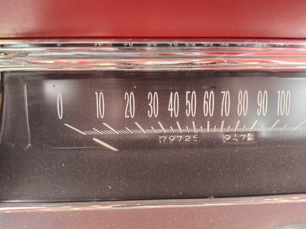 53394679-45.jpg