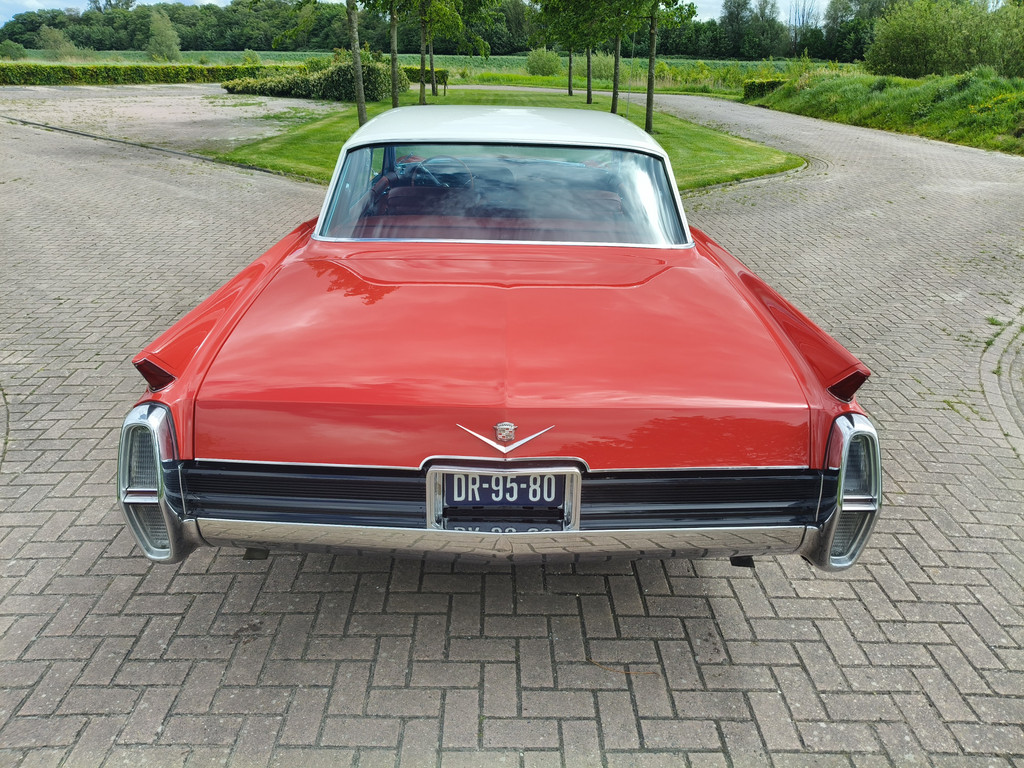 53394679-5.jpg