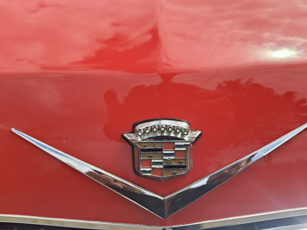 53394679-51.jpg