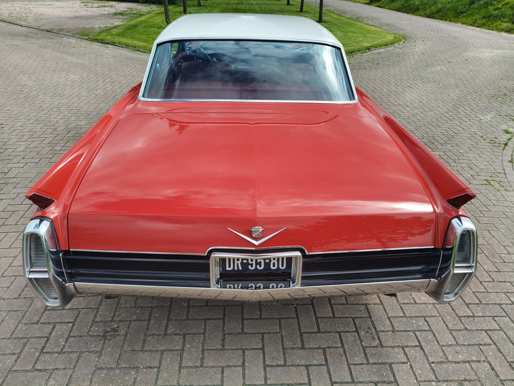 53394679-6.jpg