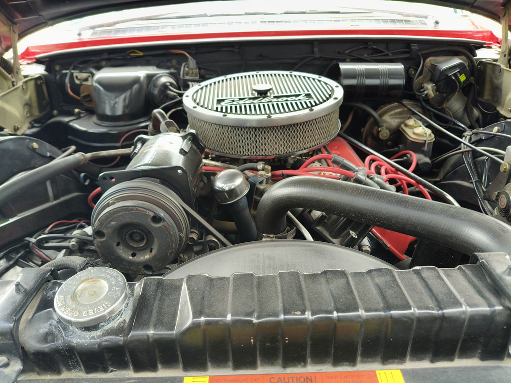 53394679-68.jpg