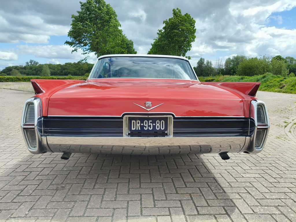 53394679-7.jpg