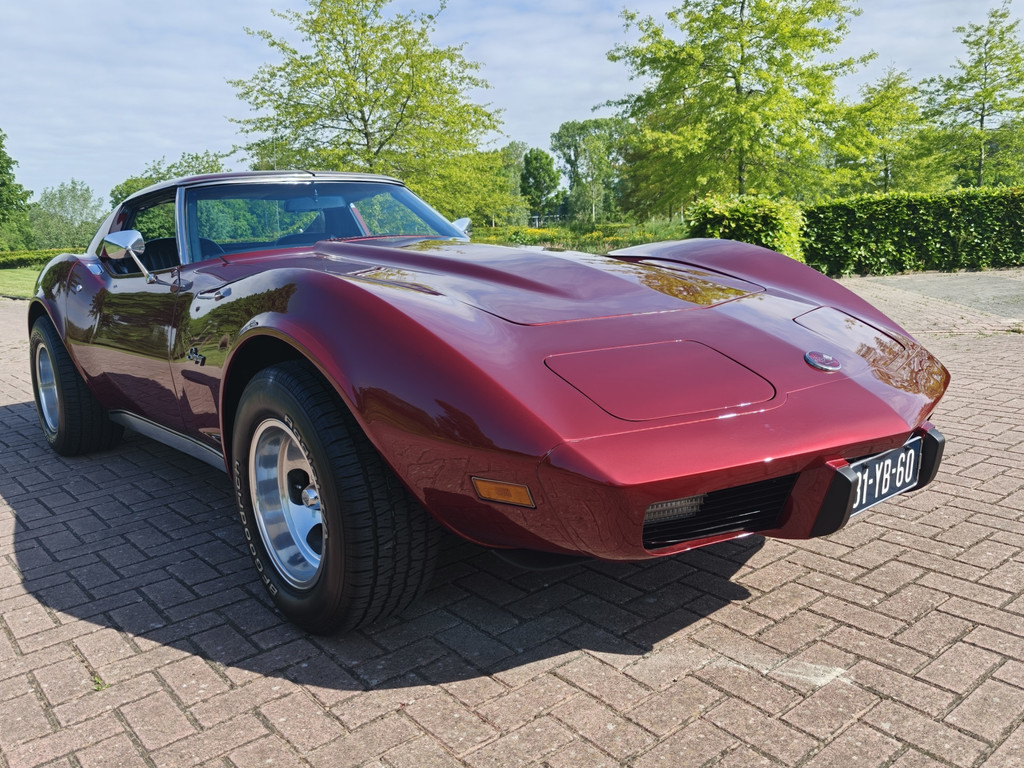 53609287-1.jpg