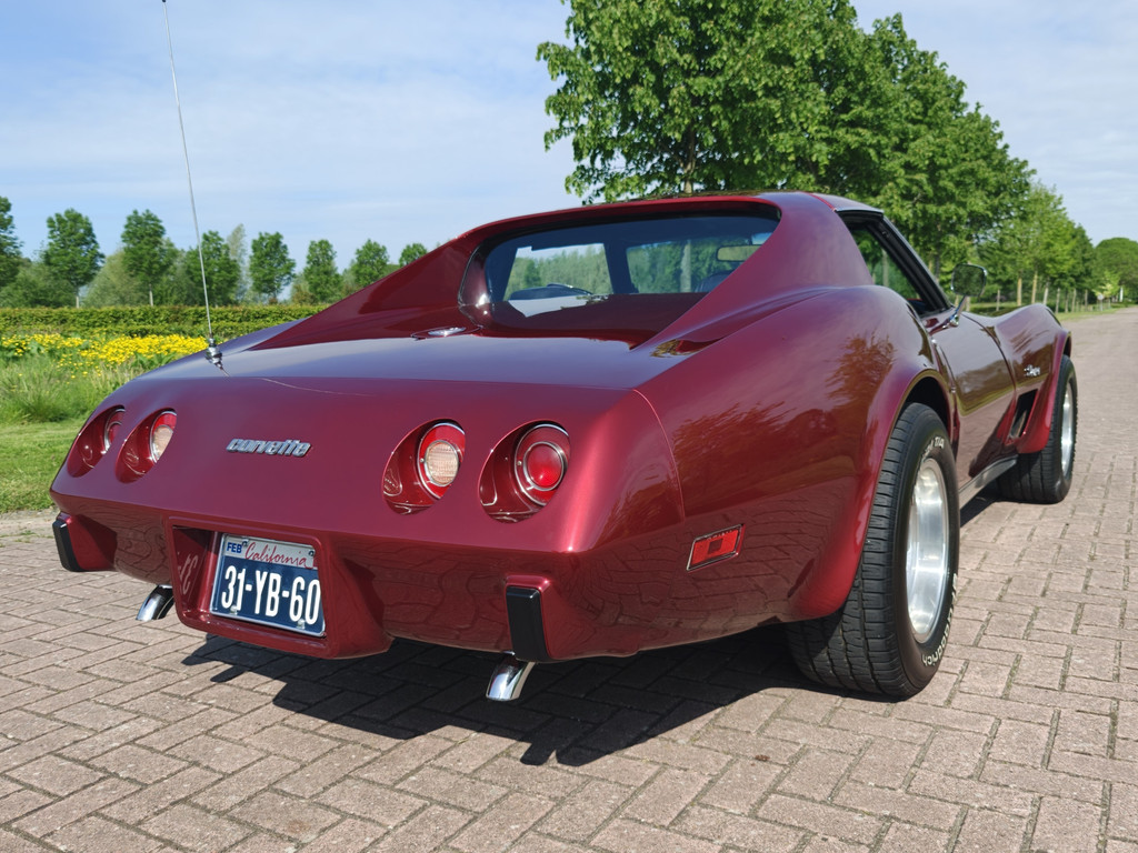 53609287-48.jpg