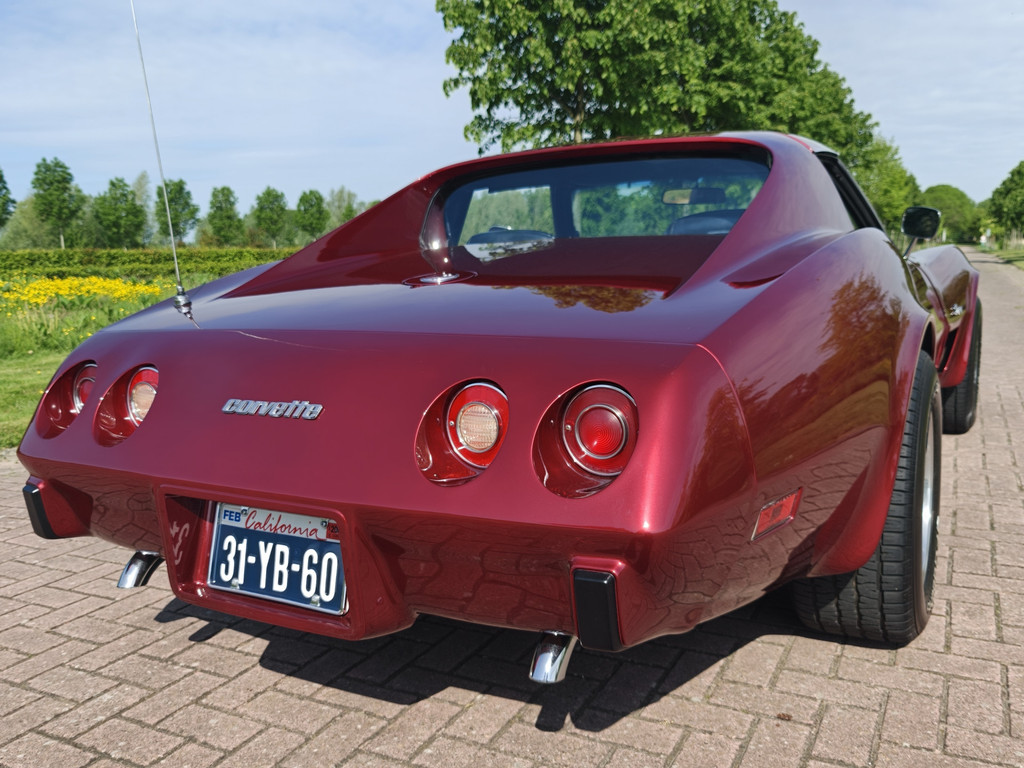53609287-49.jpg
