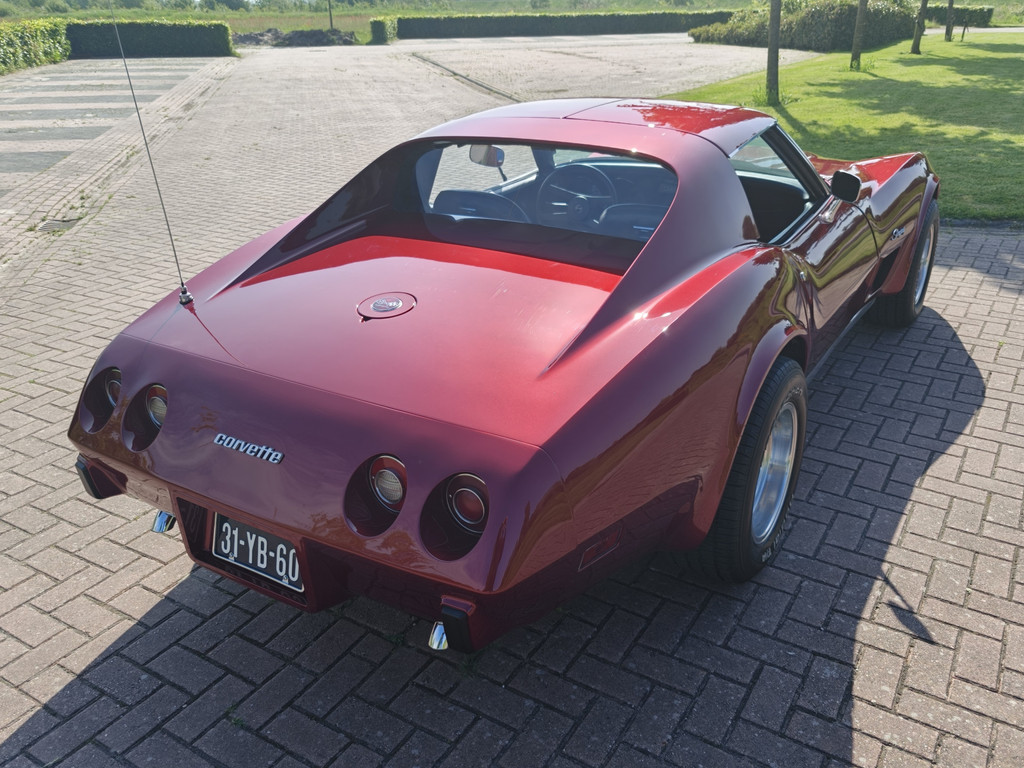 53609287-5.jpg