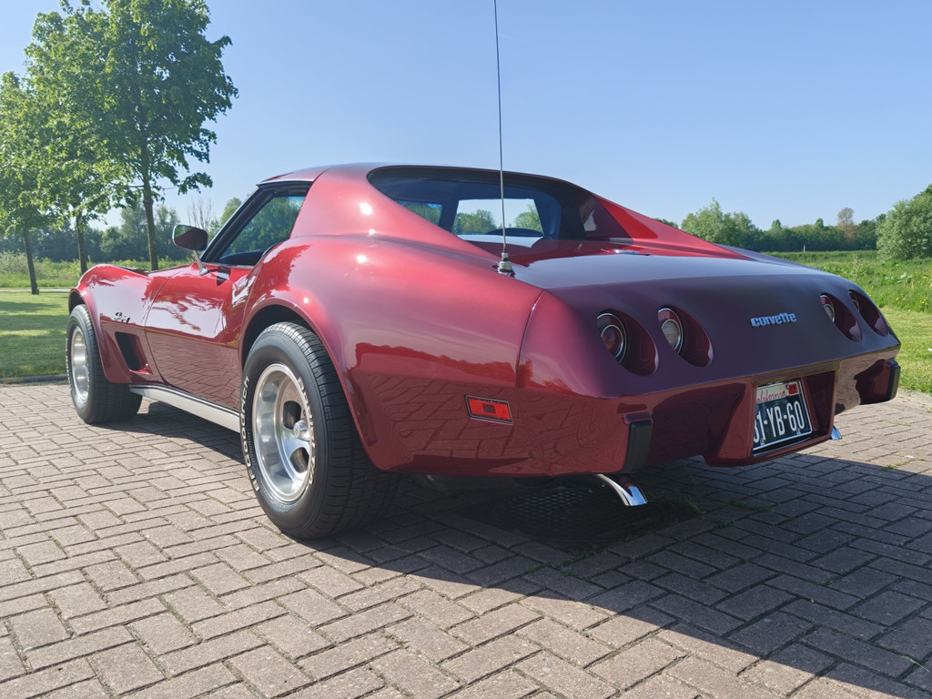 53609287-6.jpg