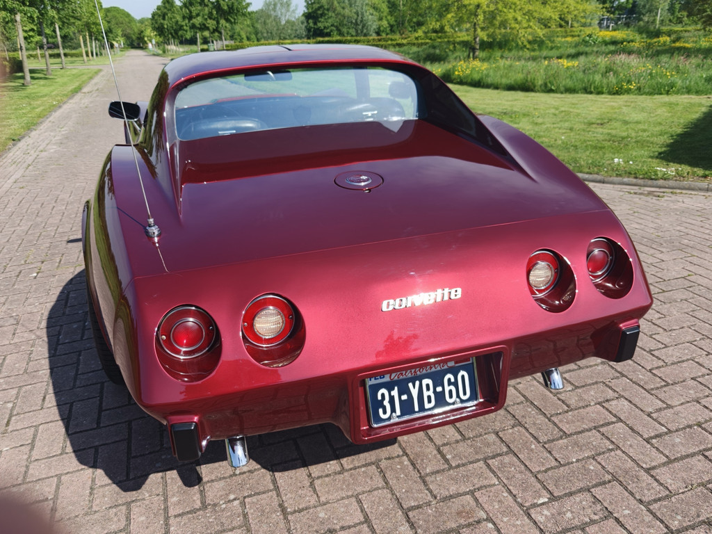 53609287-61.jpg