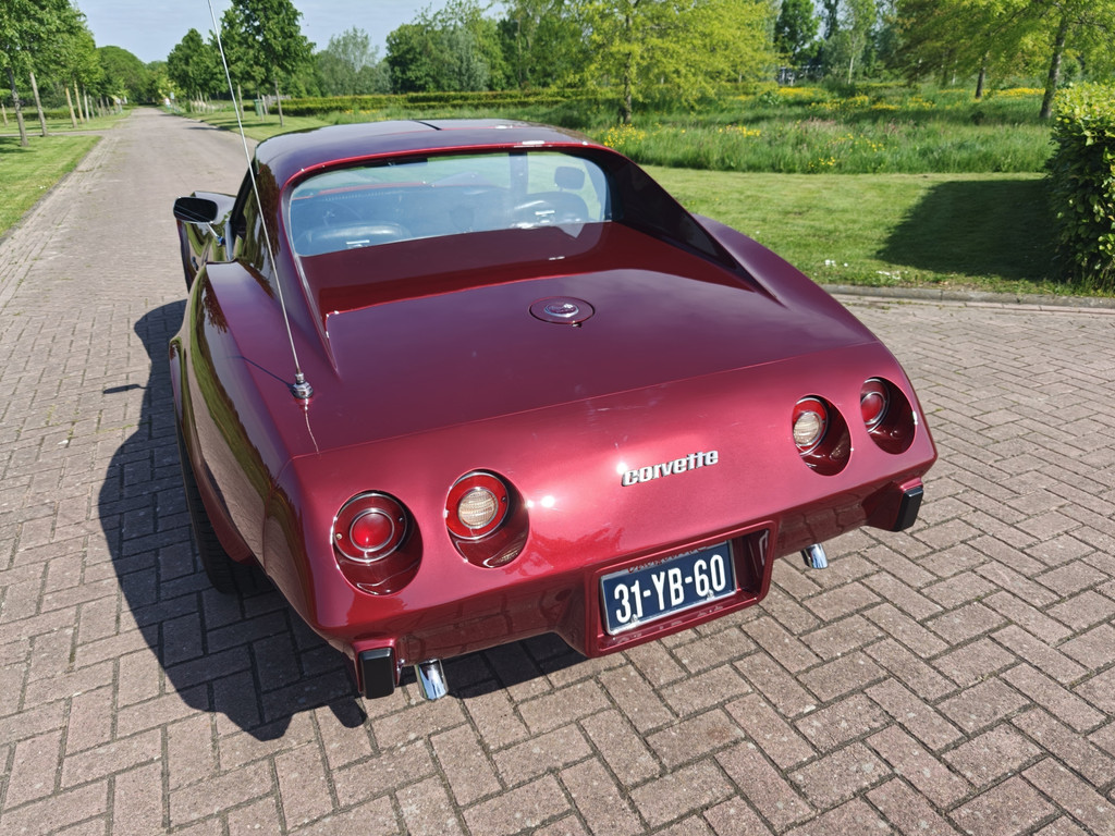 53609287-63.jpg