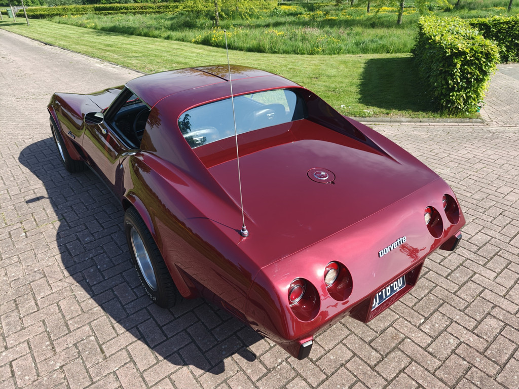 53609287-64.jpg