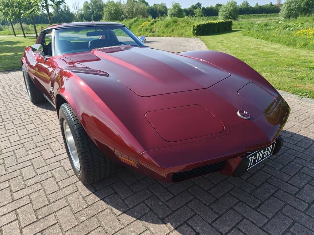 53609287-73.jpg