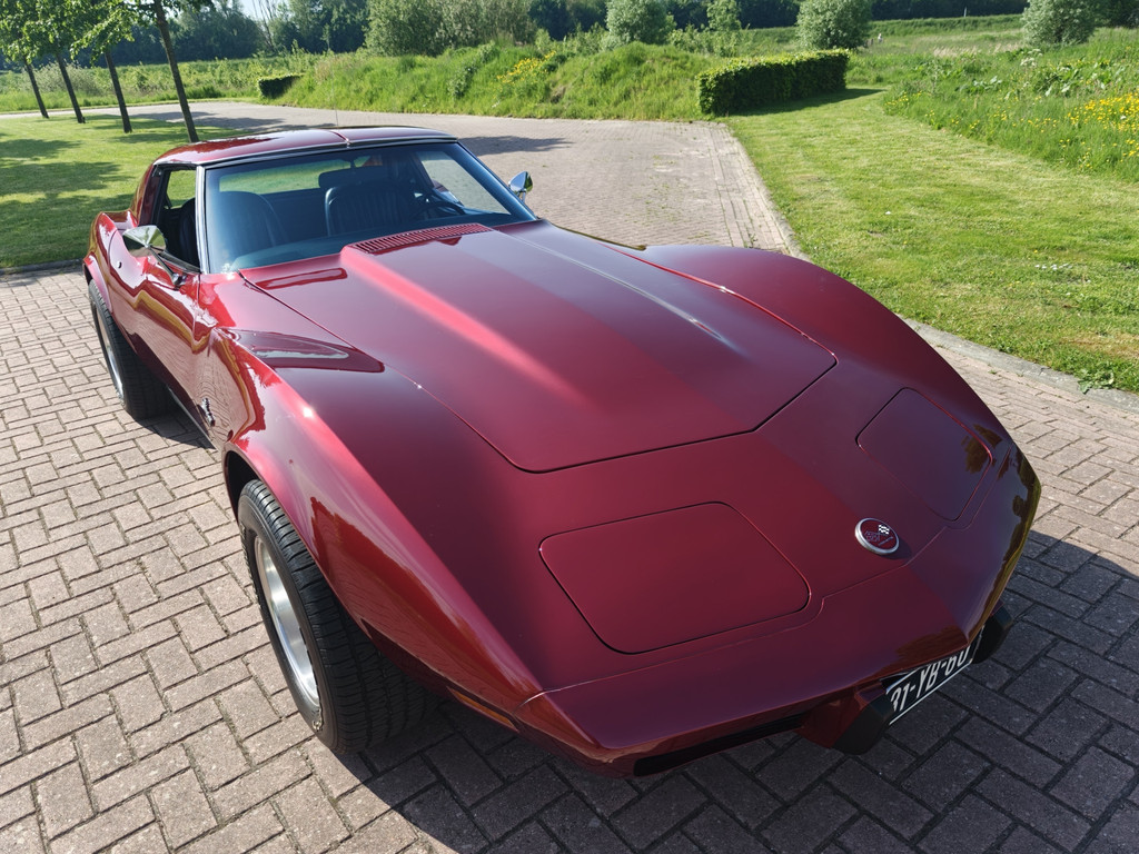 53609287-74.jpg