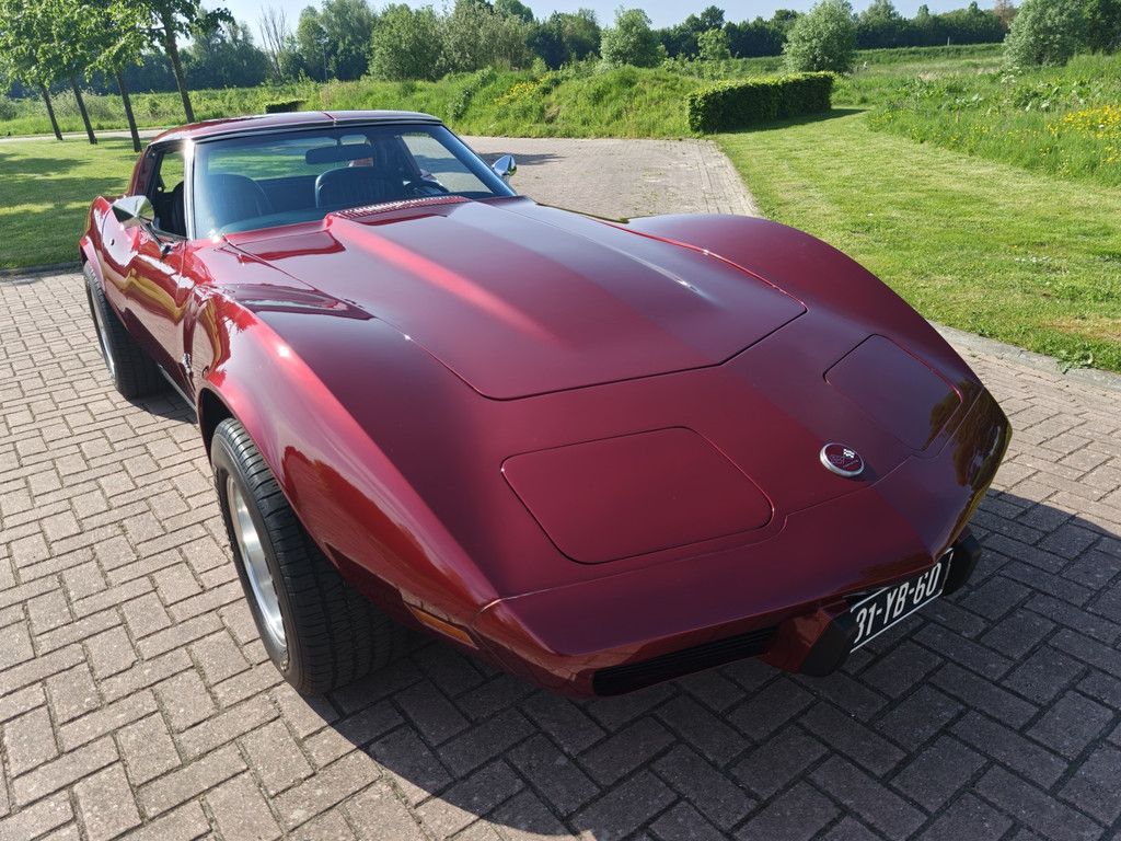 53609287-75.jpg