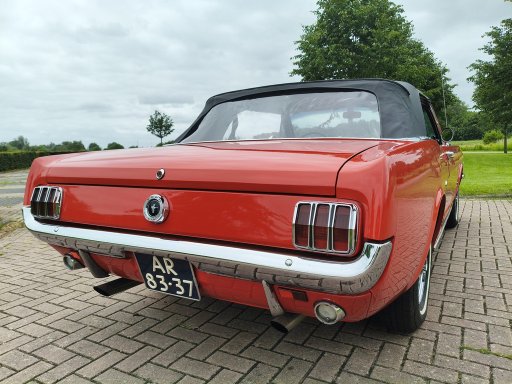54290559-17.jpg