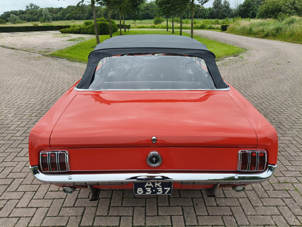 54290559-18.jpg