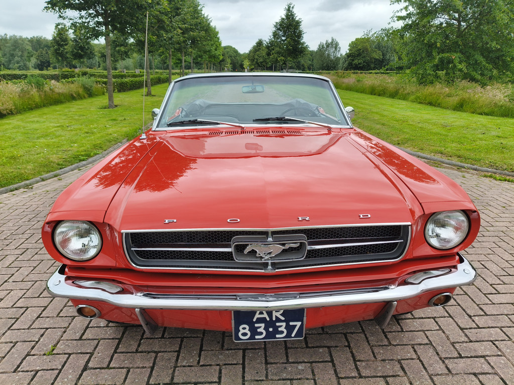 54290559-27.jpg