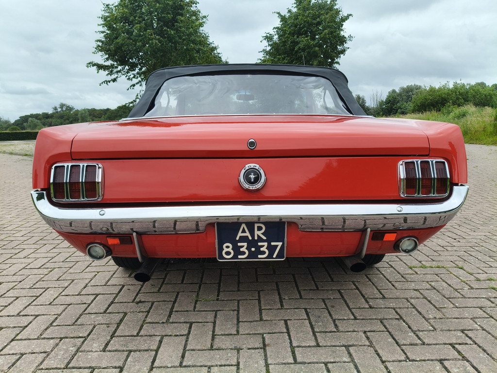 54290559-6.jpg