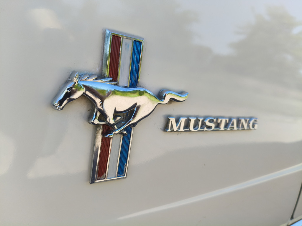 54418122-17.jpg