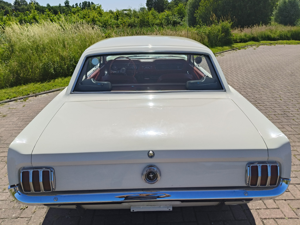 54418122-44.jpg