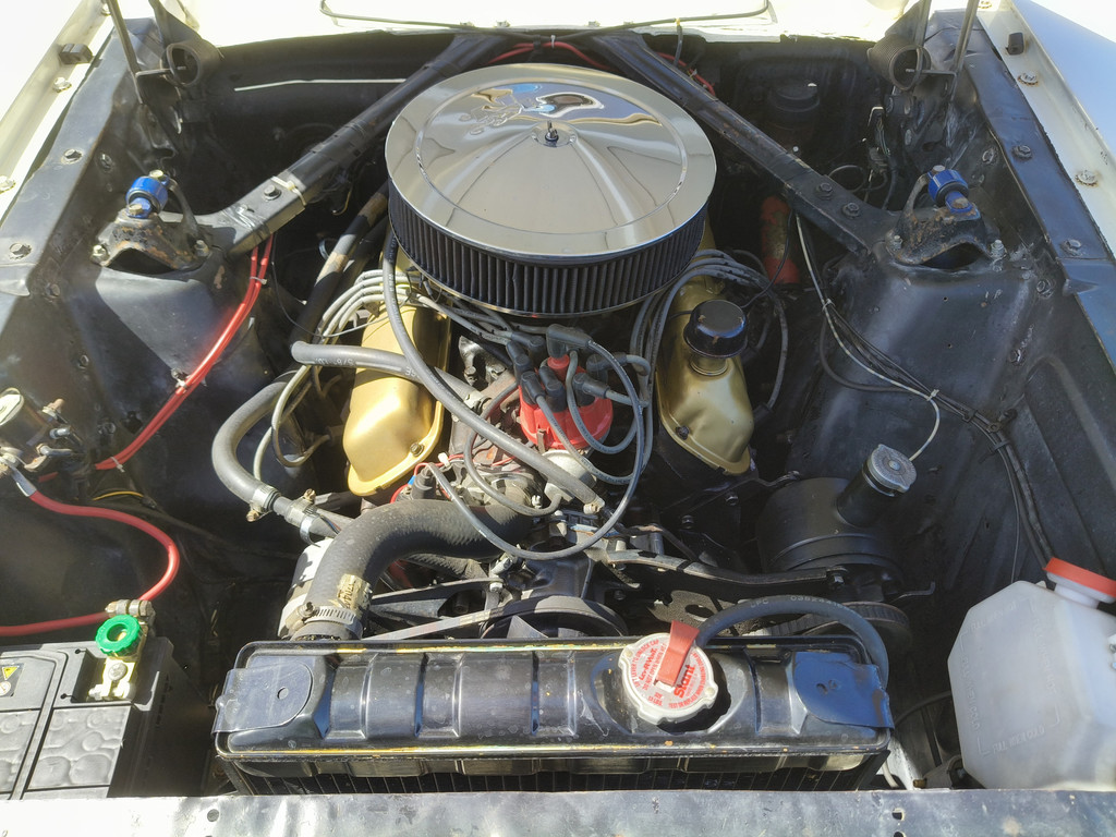 54418122-47.jpg