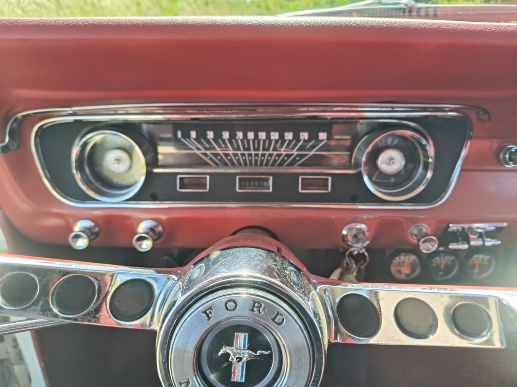 54418122-64.jpg