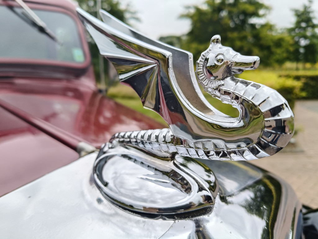 55081119-22.jpg